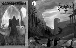 Necrostrigis : Relics of Blood Rites Sorcery